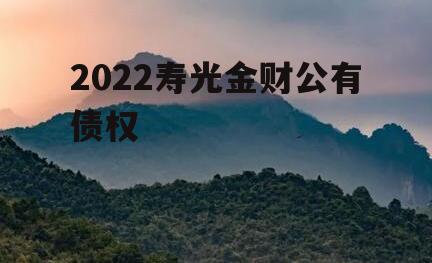 2022寿光金财公有债权