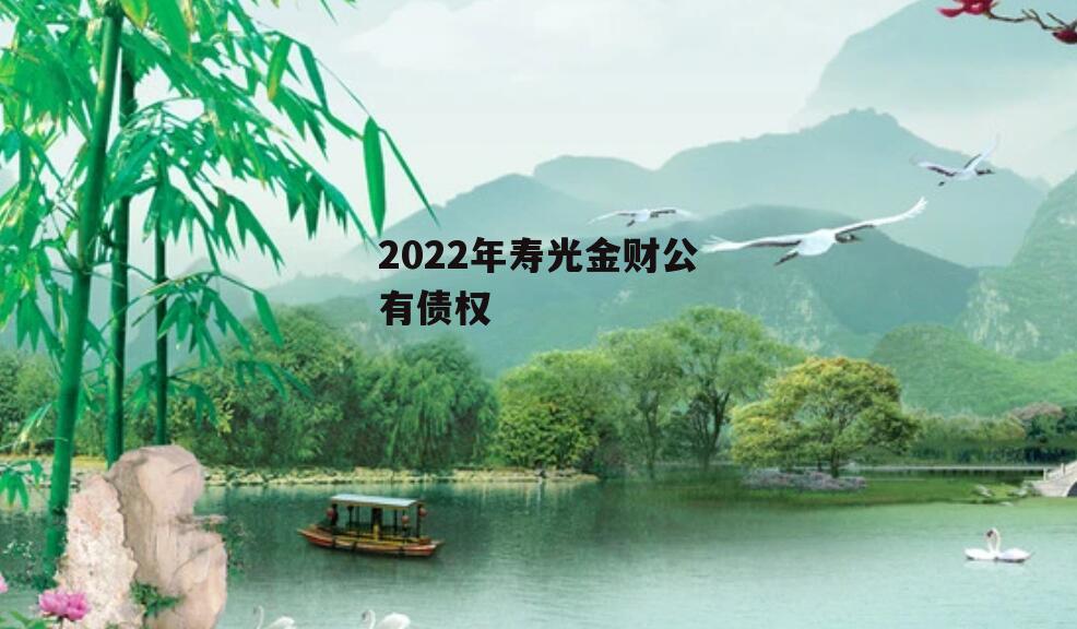 2022年寿光金财公有债权