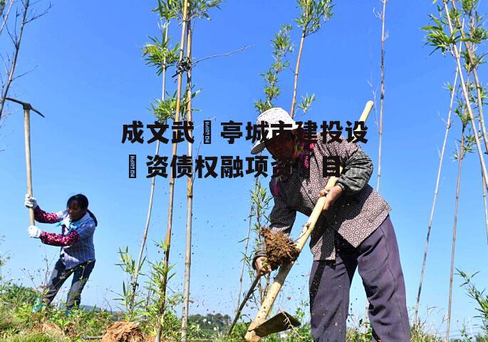 成文武‬亭城市建投设‬资债权融项资‬目
