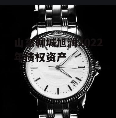 山东聊城旭润2022年债权资产