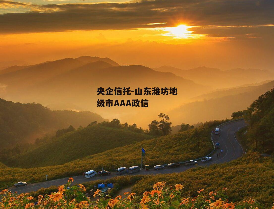 央企信托-山东潍坊地级市AAA政信