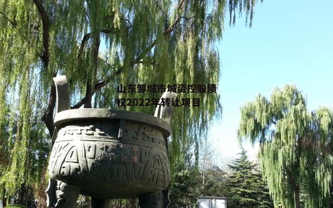 山东邹城市城资控股债权2022年转让项目