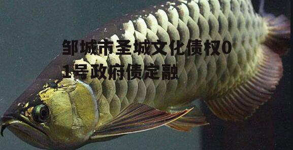 邹城市圣城文化债权01号政府债定融