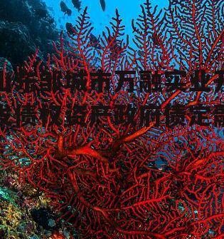 山东邹城市万融实业开发债权资产政府债定融