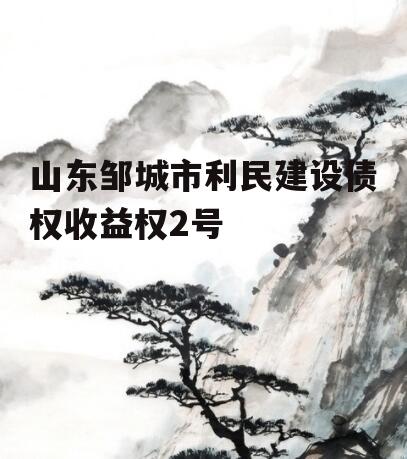 山东邹城市利民建设债权收益权2号