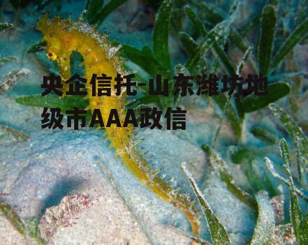 央企信托-山东潍坊地级市AAA政信