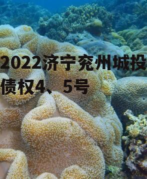 2022济宁兖州城投债权4、5号