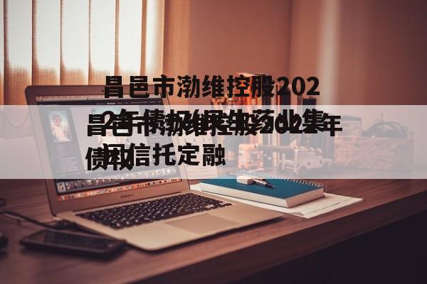 昌邑市渤维控股2022年债权(民生药业集团信托定融
)