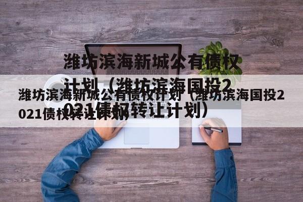 潍坊滨海新城公有债权计划（潍坊滨海国投2021债权转让计划）