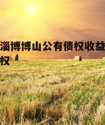 淄博博山公有债权收益权