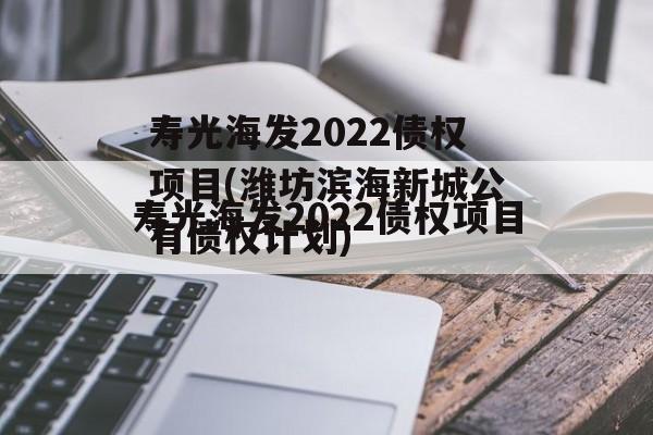 寿光海发2022债权项目(潍坊滨海新城公有债权计划)