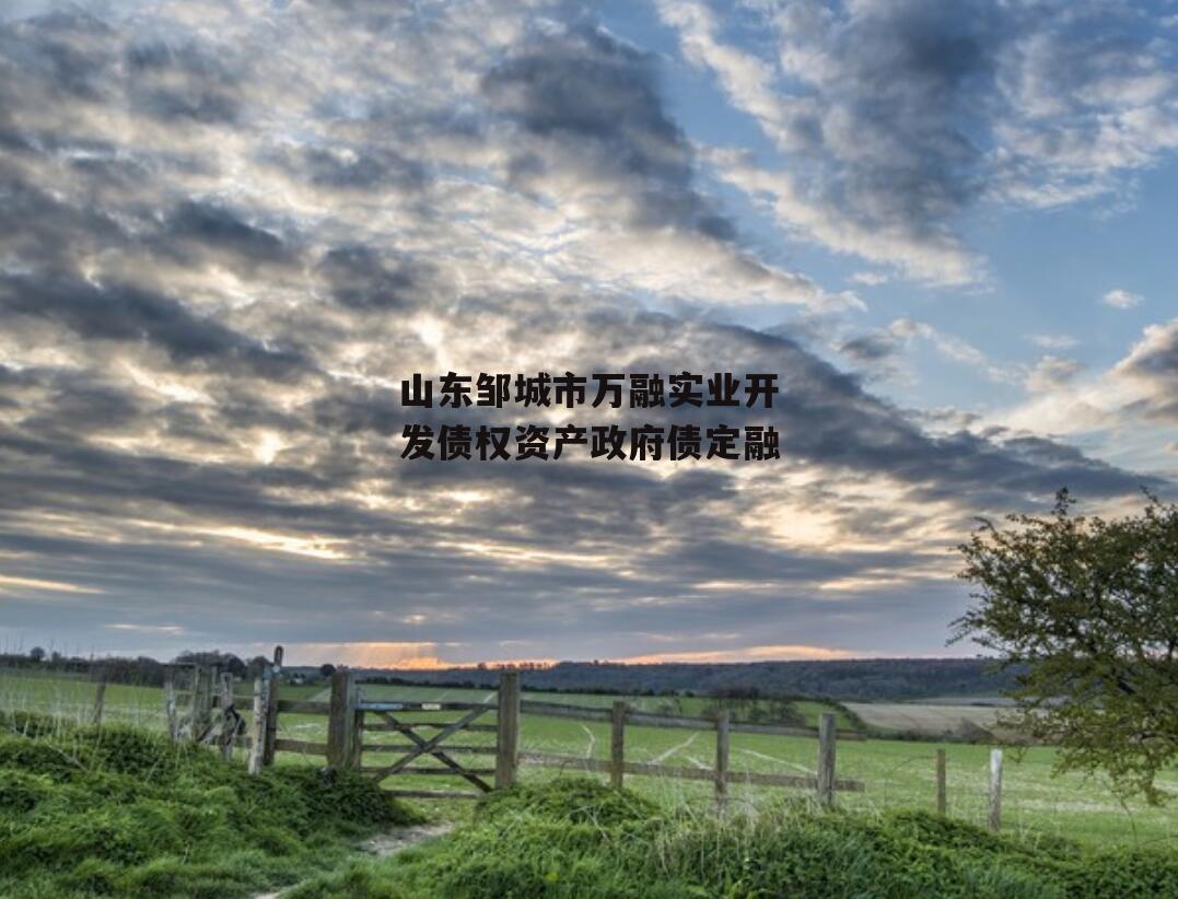 山东邹城市万融实业开发债权资产政府债定融