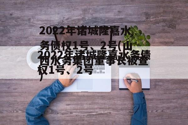 2022年诸城隆嘉水务债权1号、2号(山西水务集团董事长被查)