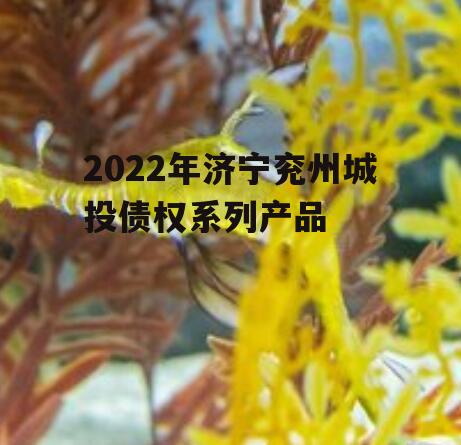 2022年济宁兖州城投债权系列产品