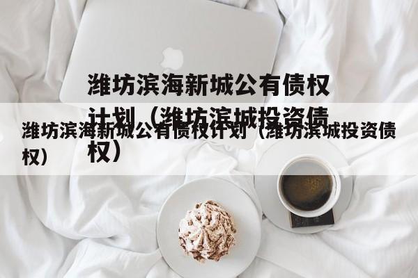 潍坊滨海新城公有债权计划（潍坊滨城投资债权）