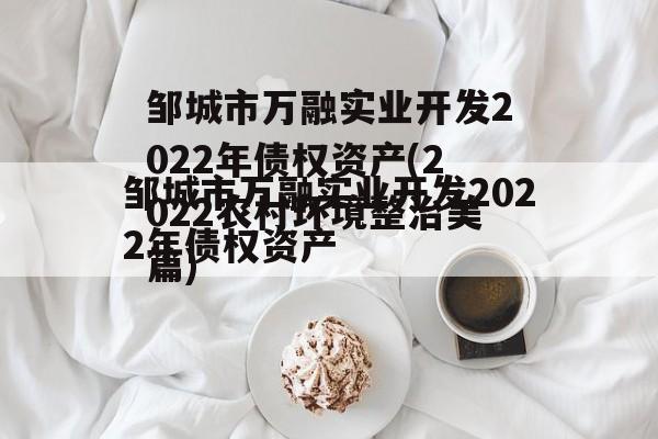 邹城市万融实业开发2022年债权资产(2022农村环境整治美篇)