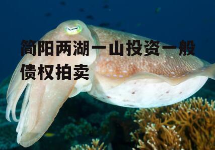 简阳两湖一山投资一般债权拍卖