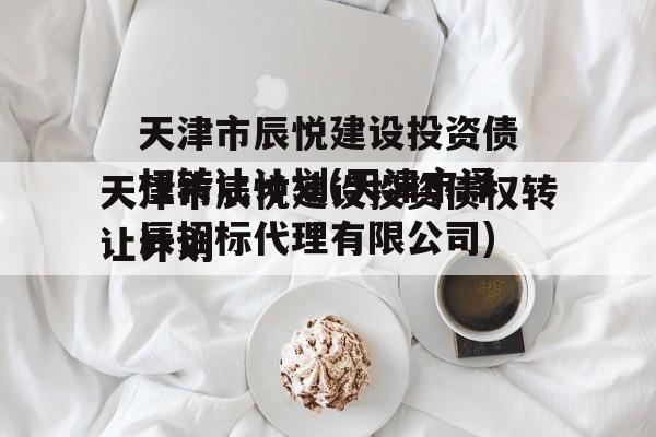 天津市辰悦建设投资债权转让计划(天津市泽辰招标代理有限公司)