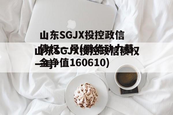 山东SGJX投控政信债权一号(鹏华动力基金净值160610)