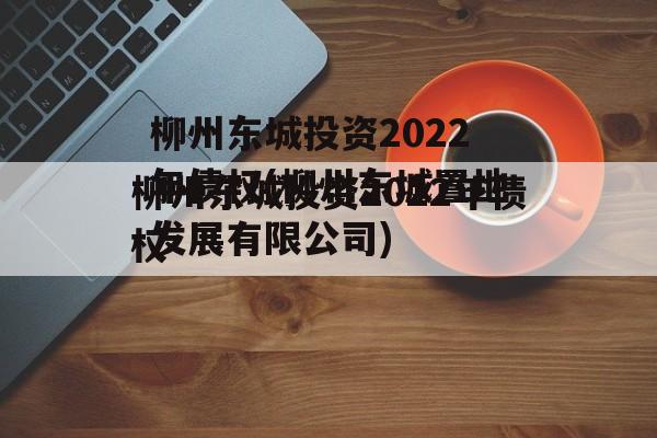 柳州东城投资2022年债权(柳州东城置地发展有限公司)