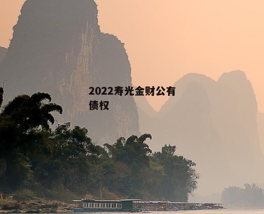 2022寿光金财公有债权