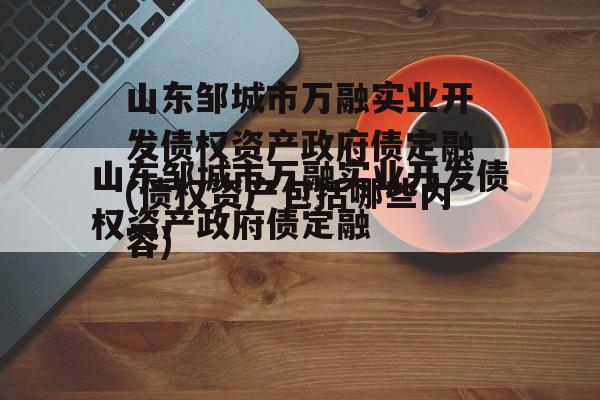 山东邹城市万融实业开发债权资产政府债定融(债权资产包括哪些内容)