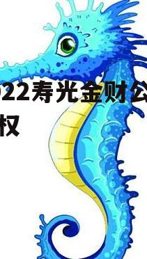 2022寿光金财公有债权
