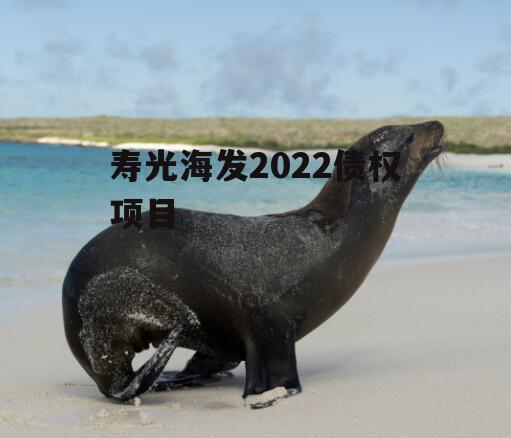寿光海发2022债权项目