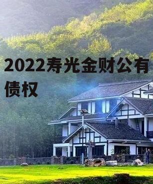 2022寿光金财公有债权