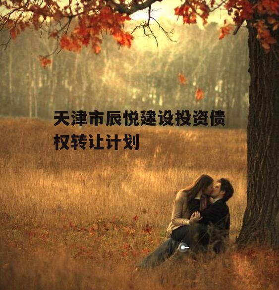 天津市辰悦建设投资债权转让计划
