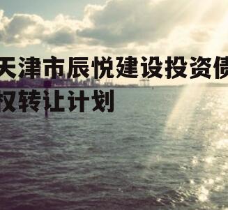 天津市辰悦建设投资债权转让计划