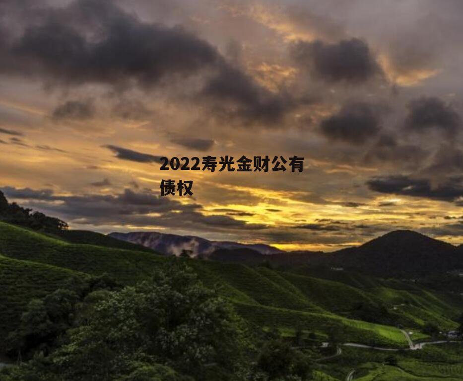 2022寿光金财公有债权