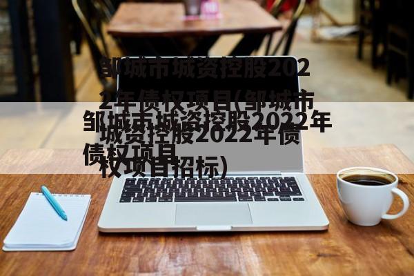 邹城市城资控股2022年债权项目(邹城市城资控股2022年债权项目招标)