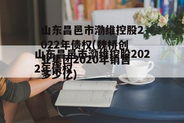 山东昌邑市渤维控股2022年债权(魏桥创业集团2020年销售多少亿)