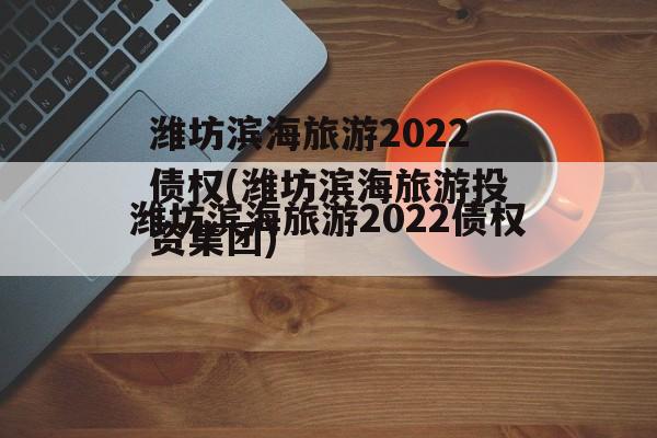 潍坊滨海旅游2022债权(潍坊滨海旅游投资集团)