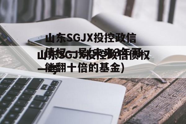 山东SGJX投控政信债权一号(未来3年可能翻十倍的基金)