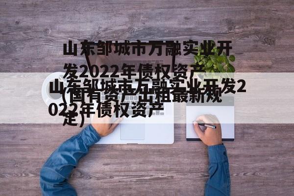 山东邹城市万融实业开发2022年债权资产(国有资产出租最新规定)