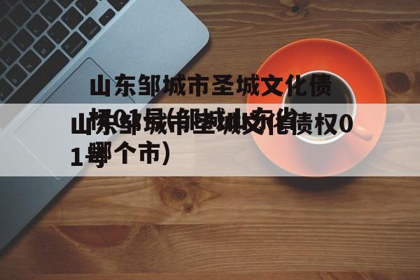 山东邹城市圣城文化债权01号(邹城山东省哪个市)
