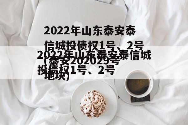 2022年山东泰安泰信城投债权1号、2号(泰安202029号地块)