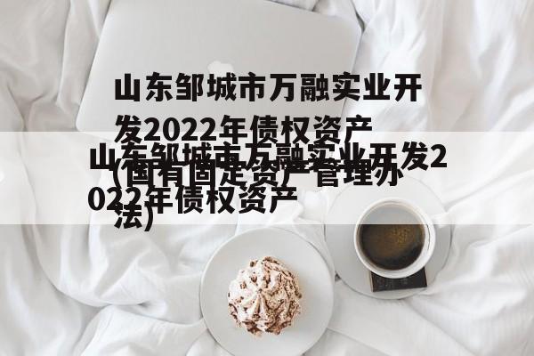 山东邹城市万融实业开发2022年债权资产(国有固定资产管理办法)