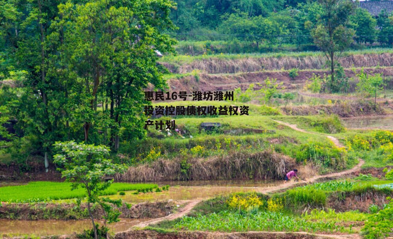 惠民16号-潍坊潍州投资控股债权收益权资产计划