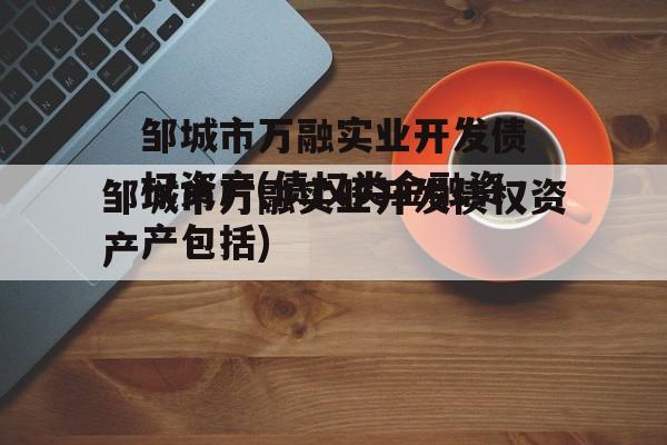 邹城市万融实业开发债权资产(债权类金融资产包括)