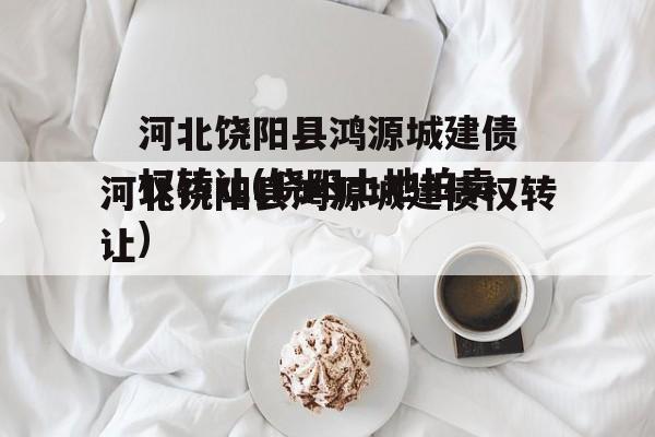 河北饶阳县鸿源城建债权转让(饶阳土地拍卖)