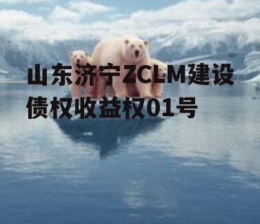 山东济宁ZCLM建设债权收益权01号