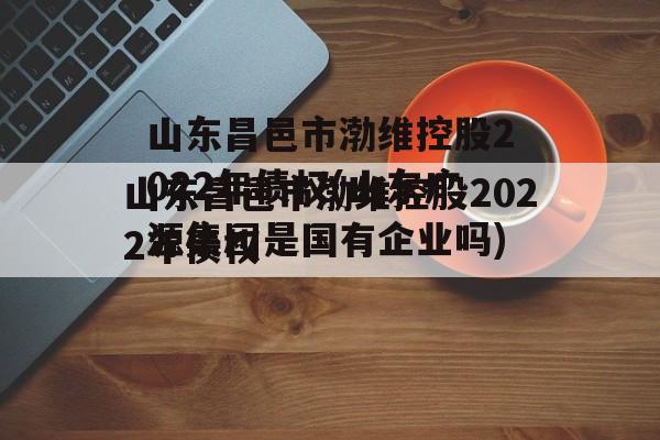 山东昌邑市渤维控股2022年债权(山东广源集团是国有企业吗)