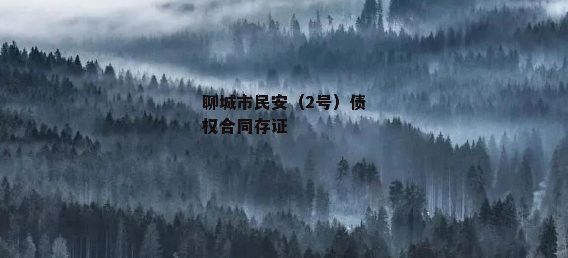 聊城市民安（2号）债权合同存证