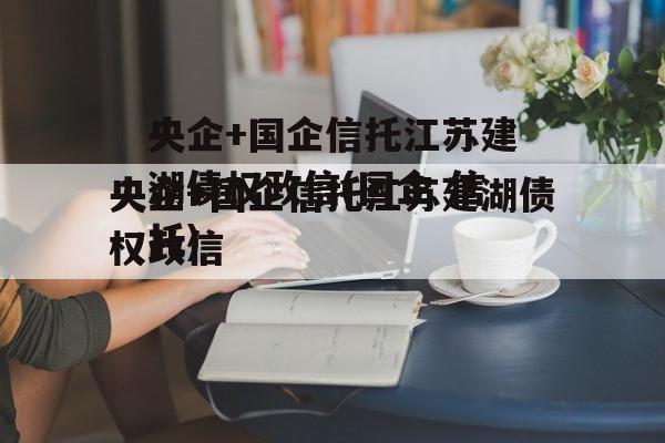 央企+国企信托江苏建湖债权政信(国企 信托)