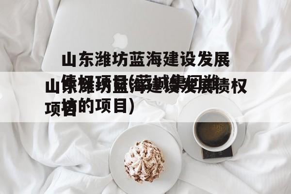 山东潍坊蓝海建设发展债权项目(蓝城集团潍坊的项目)