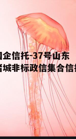 国企信托-37号山东诸城非标政信集合信托