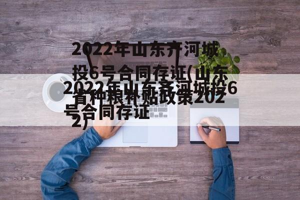 2022年山东齐河城投6号合同存证(山东省种粮补贴政策2022)